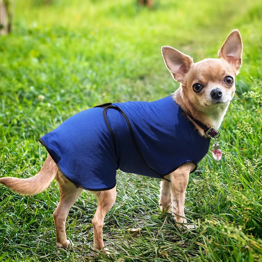 Hunde Kühlweste Kühljacke Cooling Vest schnelle Abkühlung Polyester Blau Ø40 x 46 cm