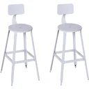 2er-Set Barhocker Bistrostuhl Küchenhocker Metallhocker mit Antirutschpads mit Rückenlehne Weiß 46x44x103cm
