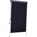 Seitenmarkise Windschutz Sichtschutz mit Handkurbel Polyester + Aluminium Grau 120 x 200 cm