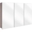 Concept Spiegelschrank 100cm gris fsc
