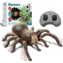 Discovery Kids RC Tarantula " " Spinne mit leuchtenden Augen und Sound