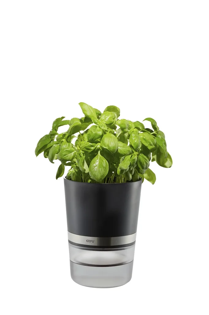 Kräutertopf "BOTANICO"