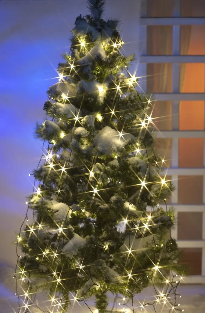 Lichterschnüre mit 300 LEDs - 12 Stränge, je 2,5 m