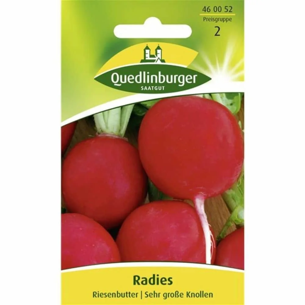 Radieschen säen, Riesenbutter, Saatgut, frische Radieschen