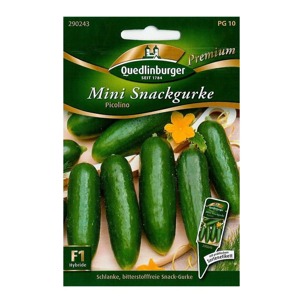 Snackgurke, Mini Snack Gurke Picolino F1, Gurkensamen
