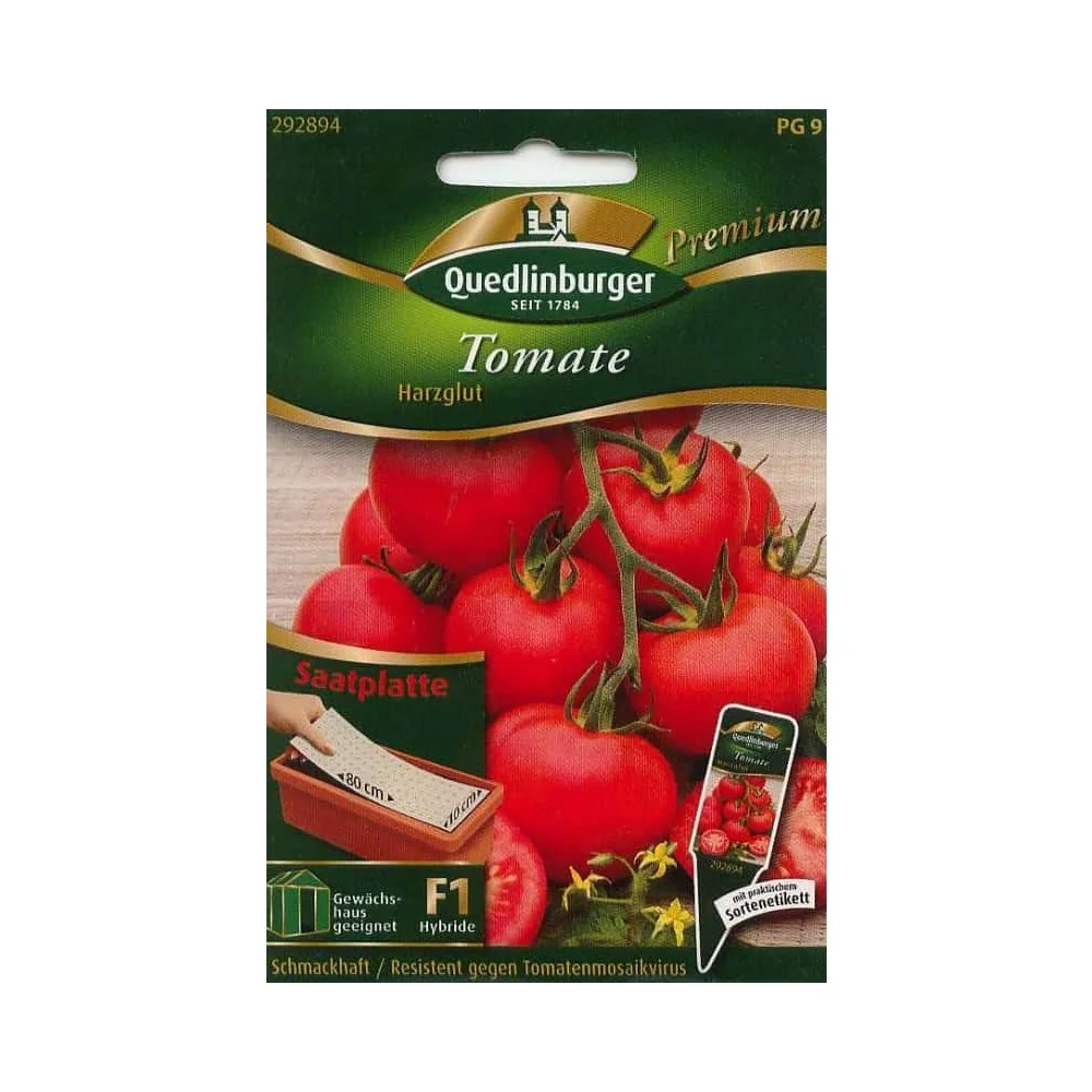 Tomatenpflanzen, Saatplatte Tomate Harzglut F1, Anzucht, Freiland