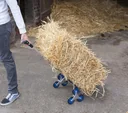 Treppen-Sackkarre, klappbar, 70 kg Tragkraft