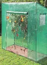 Tomaten Gewächshaus "Groß", ca. 200 x 77 x 170 cm, LxBxH
