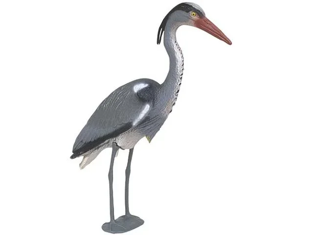 Fischreiher  