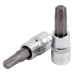 Torx Stecknüsse Bild