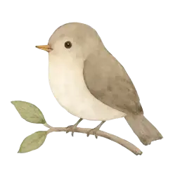 Vögelchen Bild