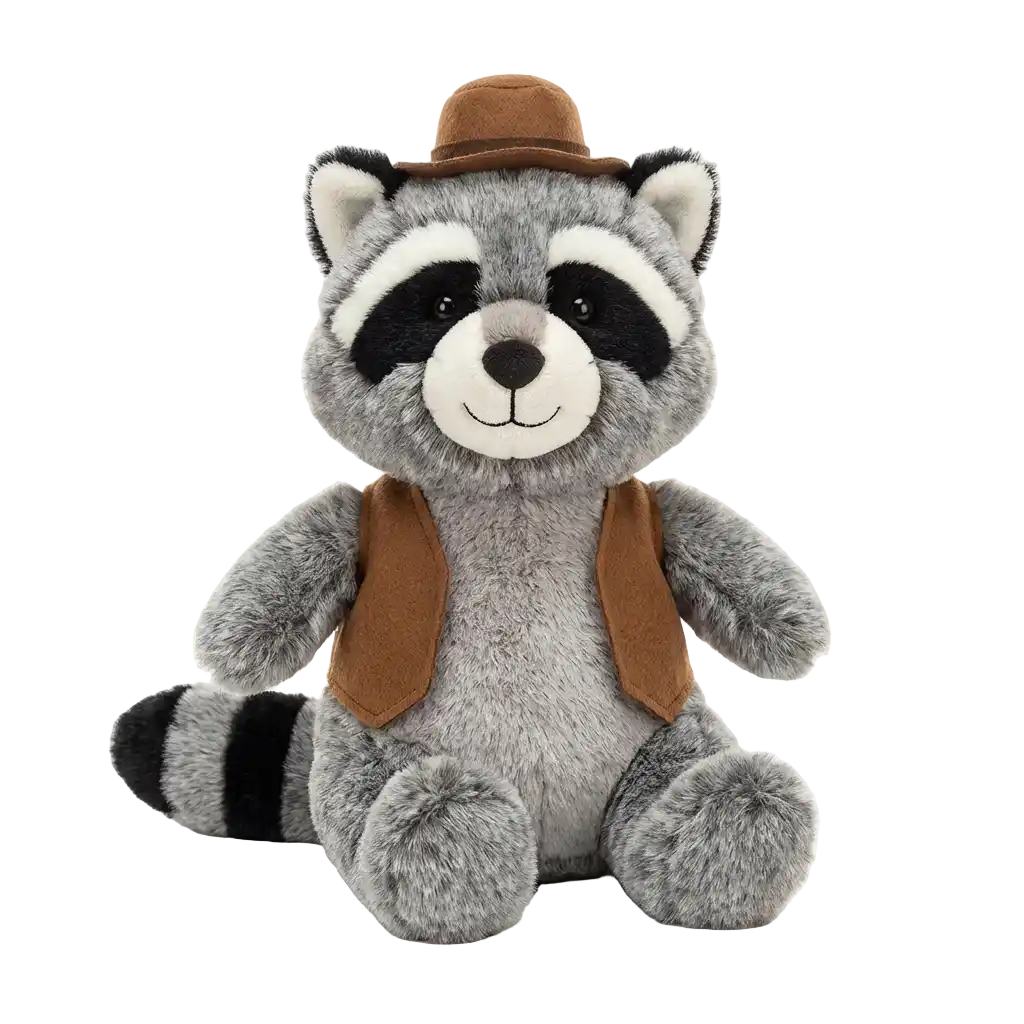 Mr. Racoon / Waschbär Bild