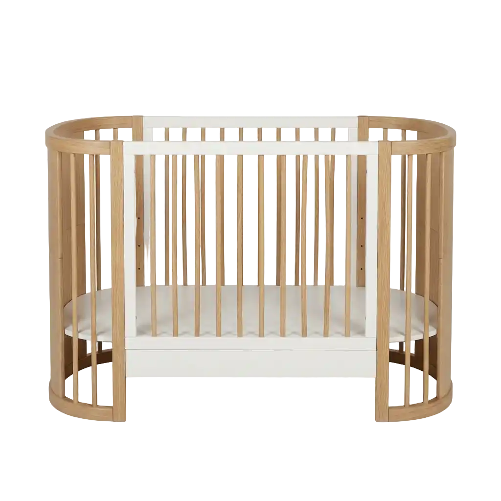 Quax Cocoon Bild