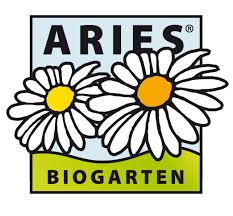 Aries Bild