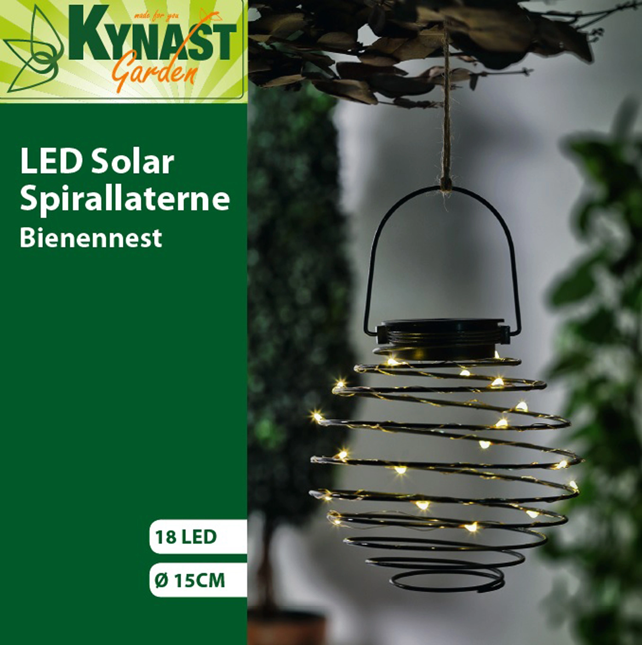 Lichtdeko Bild