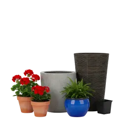 Pflanzkübel, Blumenkübel Bild
