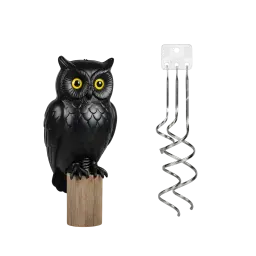 Vogelschreck, Taubenschreck Bild