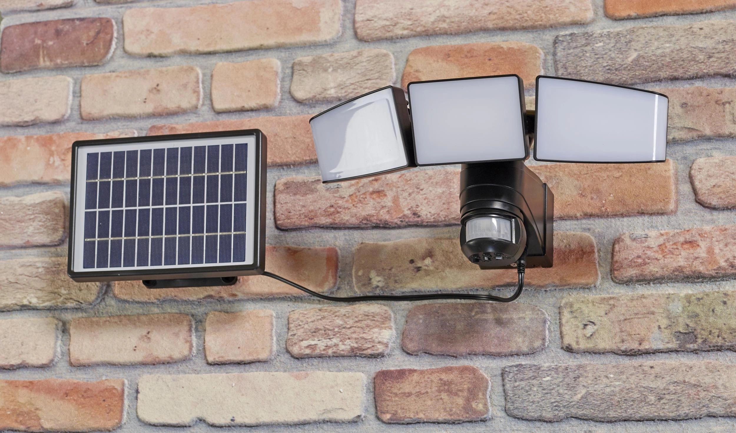 Fluter Bild