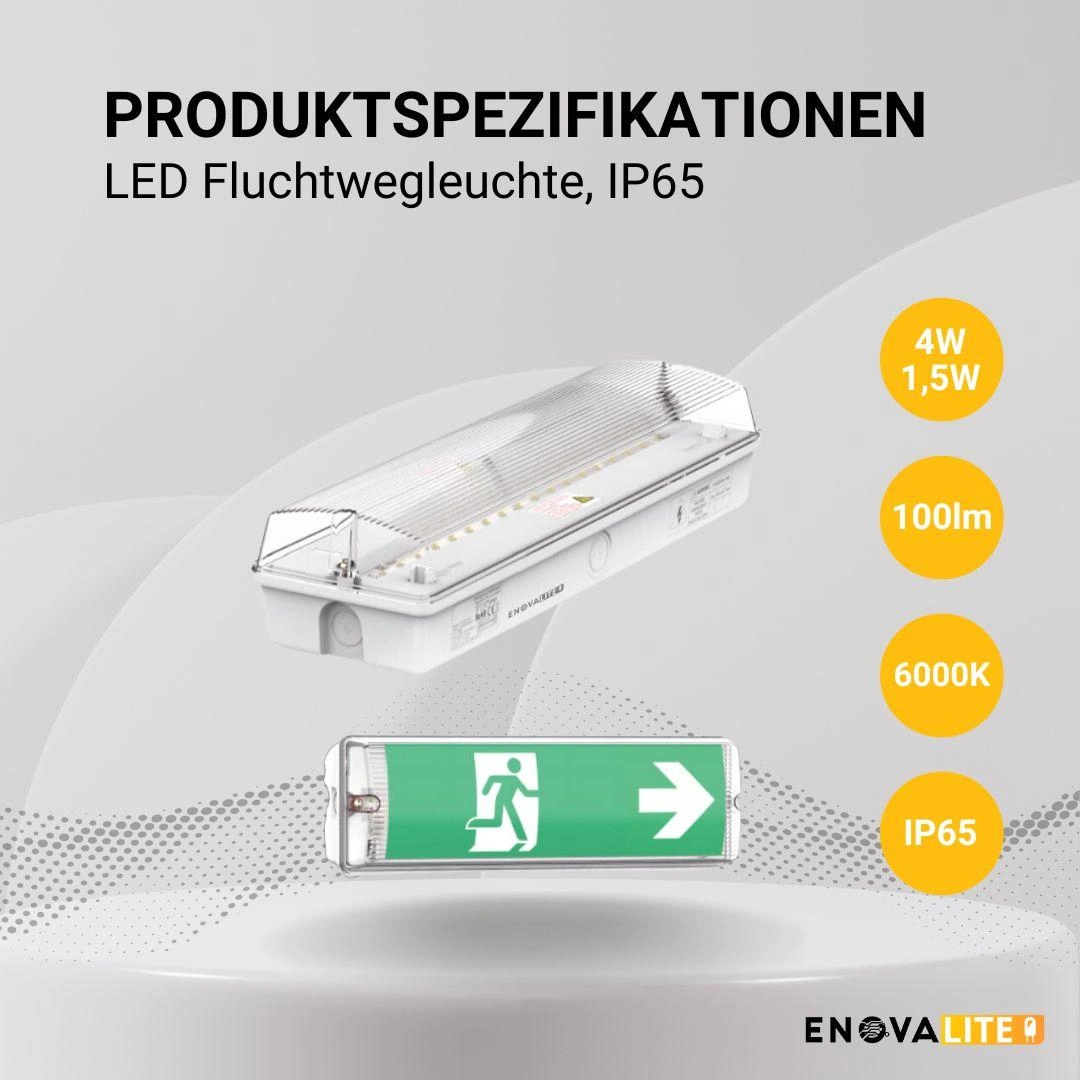 Nachtlichter Bild