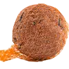 Meisenknödel mit Netz Bild