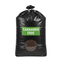 Cannabis Erde Bild