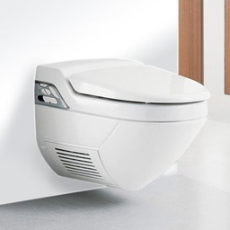 WC-Reiniger Bild