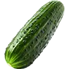 Gurken + Zuchini Bild