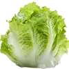 Salat + Kohl Bild