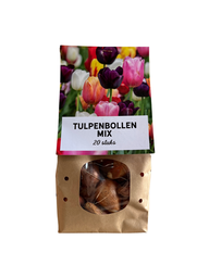 Trockenblumen Bild