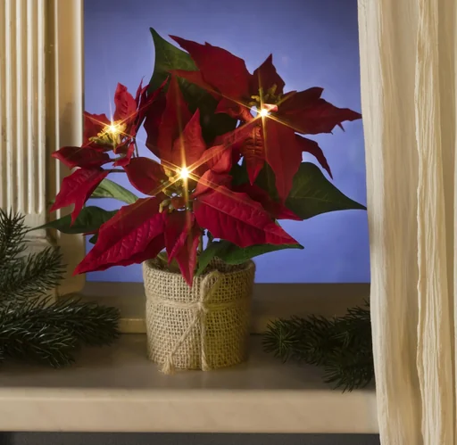 "LED Weihnachtsstern image"