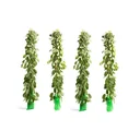 Flower-up 4er-Set XXL-Trauerweiden 120 - 140 cm