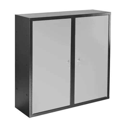 "Wandschrank 2-türig mit Lochwand image"