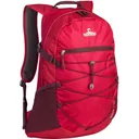 Terrapin Tour Pack 20L Dark Rose