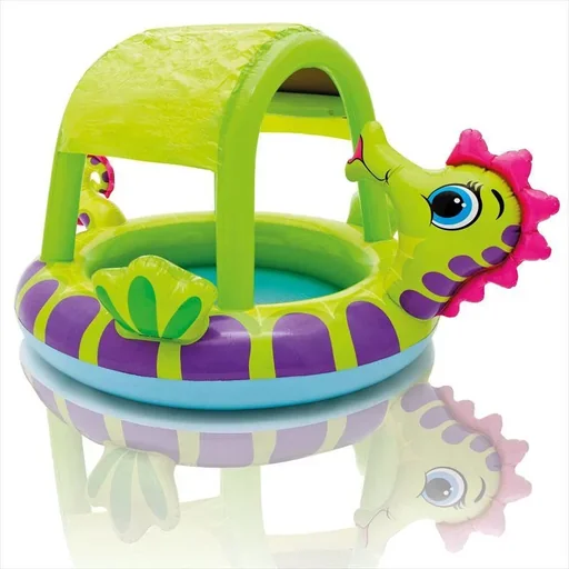 "Teiche Seahorse image"