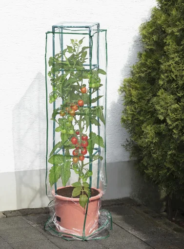 "Wachstumshaube/ Hülle/ Abdeckhaube passend für Pflanzenturm "Maxitom" und "Maxitom Jumbo" image"