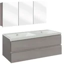 Concept Badezimmermöbel met Spiegelschrank 120cm - gris/Weiss