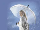 Regenschirm Transparent