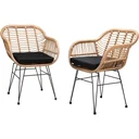 Poly Wicker Chair Bali 2 Stück Natur