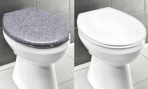 "WC-Sitz OTTANA granitfarben image"