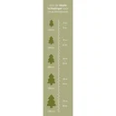 Vellight Weihnachtsbeleuchtung - 20m - 300 LEDs - Mehrfarbig - Innen & Außen