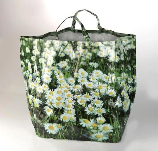 "Gartenabfallsack 80 L Daisy image"