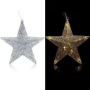 Poinsettie Silber -LED - Glitzer