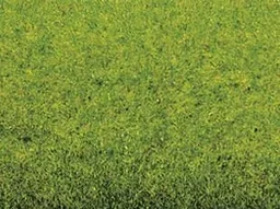 Grasmatte Frühlingswiese 200 x 100 cm