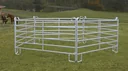 Weidepanel - Zaunelement 2,4 m Länge, 1,7 m Höhe