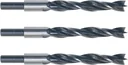 Holzbohrer 10 mm, 3 Stück