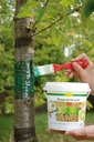 Raupenleim, grün, 250 g Dose - zum Schutz Ihrer Bäume