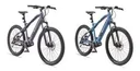 Unisex Alu MTB E-Bike, 29 Zoll, 8-Gang Kettenschaltung, grau, Aufsteiger M925 Hardtail