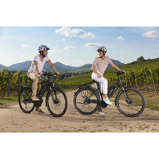 "Herren E-Bike Trekking, 28 Zoll, Rahmengröße 55 cm, 10-Gang Kettenschaltung, schwarz matt, VIATOR ETH 1861 image"