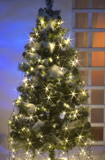 "Lichterschnüre mit 300 LEDs - 12 Stränge, je 2,5 m image"