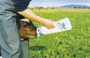 Kälberflasche Speedy Feeder, 2,5 l